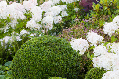 Design ideas for a garden in Cheshire.