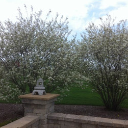 Misc. Trees - Products