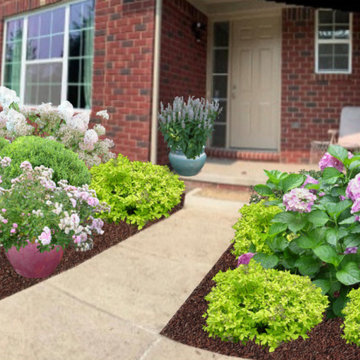 Foundation Plantings