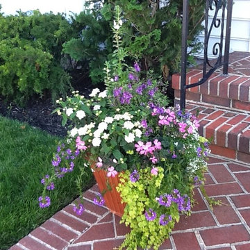 Container Gardens