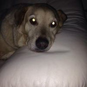 Laura Montanaro's photo