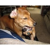 Jared Garrisons foto