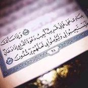 Shahd Khalils foto