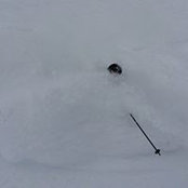 Alec Goldberg's photo