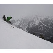 Derek Propettos foto