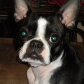 Foto von Sherrie Ellsworth