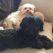 Tracy Stamm's photo