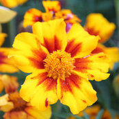Wendy W's photo