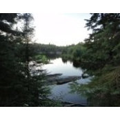 Scotty Cressey's photo