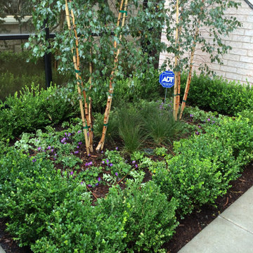 Landscapes Designed for Living