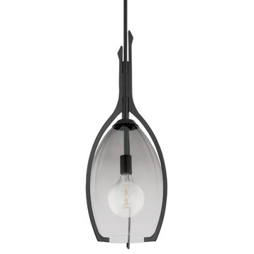 Troy Lighting F8313-FOR Pacifica 1 Light Large Pendant in Forged Iron