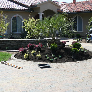 EXAMPLES OF WORK