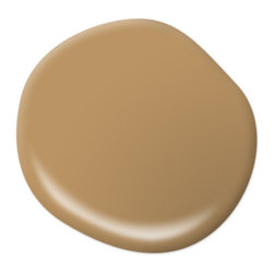 Spiced Mustard S300-5 - Paint