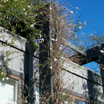 Santa Rosa Residence Guest House Addition & Remodel