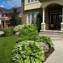 Outside