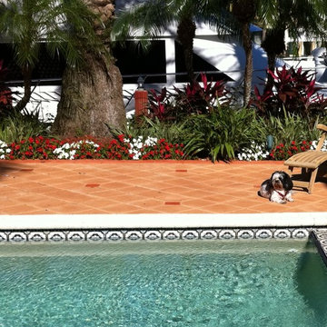 Antique Stain on Pool Deck Pavers