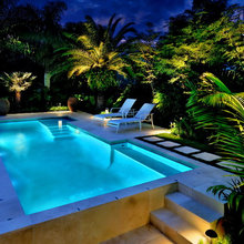 Pool/Backyard