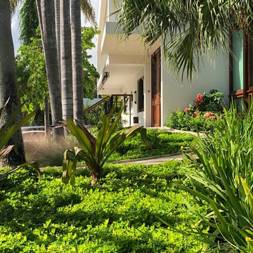 Miami Beach Residence