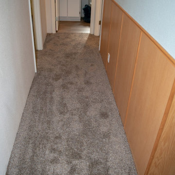 Deer Park Job 2023 - Wall to wall carpet installation