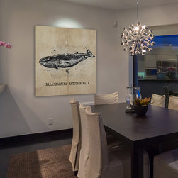 Baleine - Products