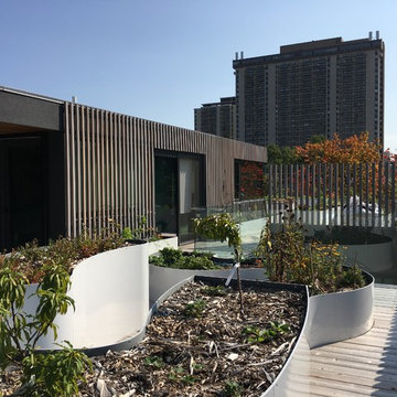 Urban Farm