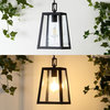 Glendale 6.75" 1-Light Iron/Glass Outdoor LED Pendant, Black/Clear