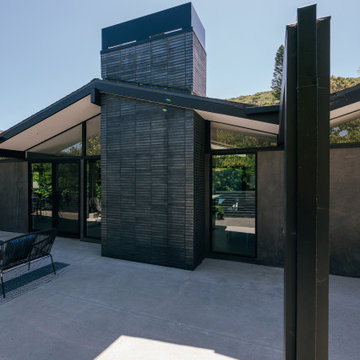 mid-century courtyard home / laguna niguel