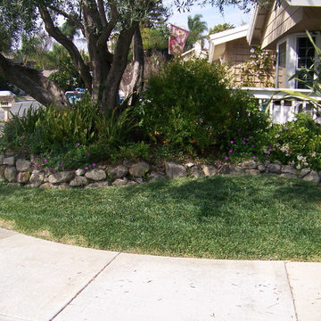 Lawn Replacement Thousand Oaks