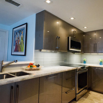 High-Rise Condo Kitchen Remodel