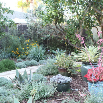 Backyard Oasis