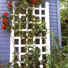 Exterior Ideas