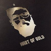 Matt Hart's photo