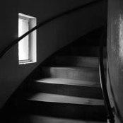 Foto von Shelley Billy