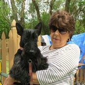Gale Sharpe's photo
