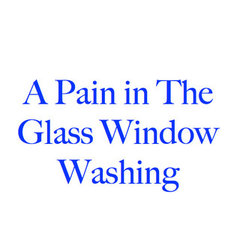 A Pain in the Glass Window Washing
