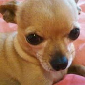 Barb Cotterman's photo
