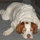 tracie_martin3066674