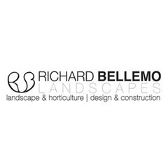 Richard Bellemo Landscapes