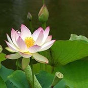 Marie Leonard's photo