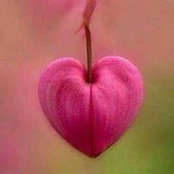 Calley Holt's photo