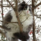 Юлия Рахманова's photo