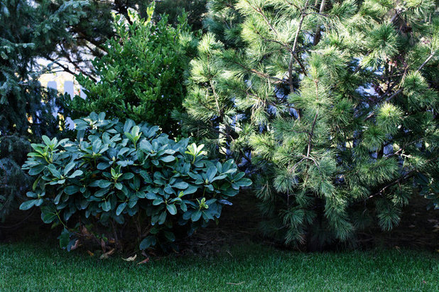 by Нина Фролова