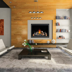 Napoleon Clean Face HD46 Series 47'' x 41'' DV Gas Fireplace System - Indoor Fireplaces