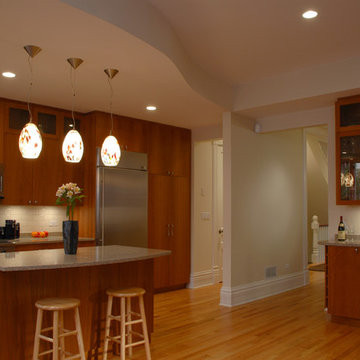 Chicago Residence 10