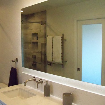 Tempe contemporary master bath