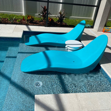 Winter Garden Contemporary with Bar Stools and Sun Ledge