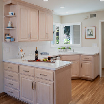 Cupertino Partial Kitchen Remodel