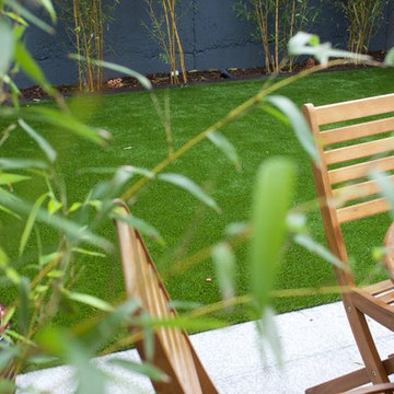 Rathmines Urban Garden