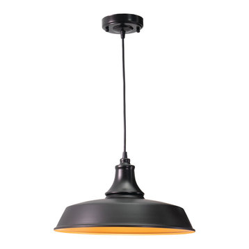 Dorado 1 Light Bronze Gold Farmhouse Outdoor Barn Dome Pendant, Dark Bronze and