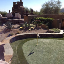 back yard